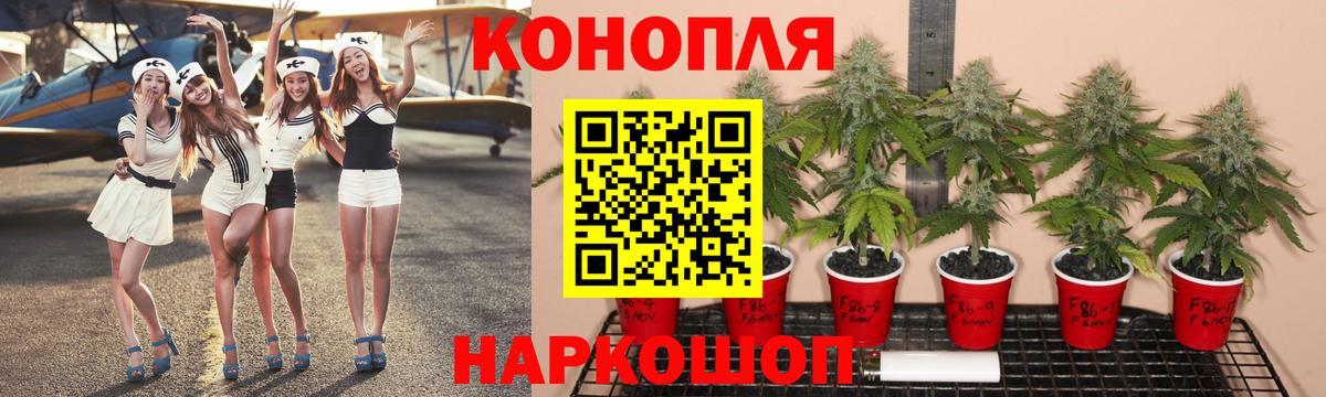 Каннабис MAZAR Ачинск